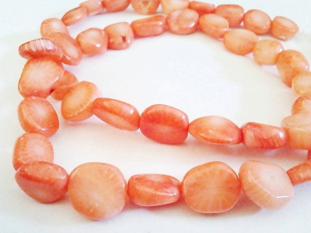 1b Coral bamboo neregulat plat 10 - 12mm