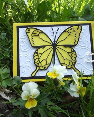 Felicitare cu fluture