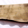 Colectia    PLICURI DANTELATE