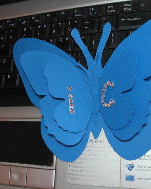 Fluturi decorativi nunta/botez/petreceri