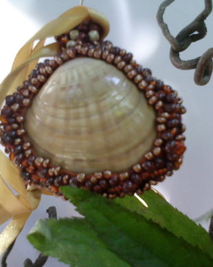 SCOICA IMBRACATA