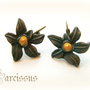 NARCISSUS - CERCEI