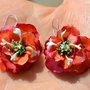Flori de Gutui Ornamental - Cercelusi