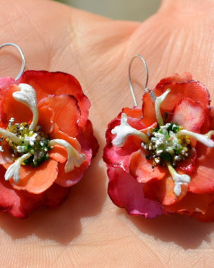 Flori de Gutui Ornamental - Cercelusi