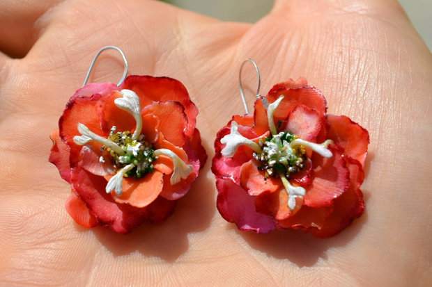 Flori de Gutui Ornamental - Cercelusi