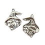 Charm vrajitoare, finisaj argintiu antichizat, 23x17 mm (cod 9-303)