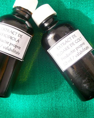 EXTRACTUL DE RHODIOLA ROSEA - NOU