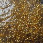 CRIMP AURIU - 2,5 MM (30buc.)