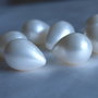 Perle seashell 16x21-22mm, semigaurite (1)
