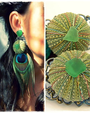 Sea Urchins~Peacock Feathers~Sea Glass