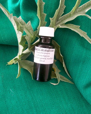 EXTRACT ANGHINARE + CEAI DE ANGHINARE
