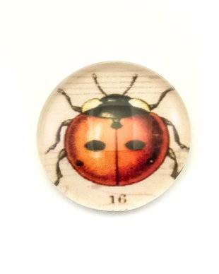 Cabochon sticla, 25 mm (cod 21-49)