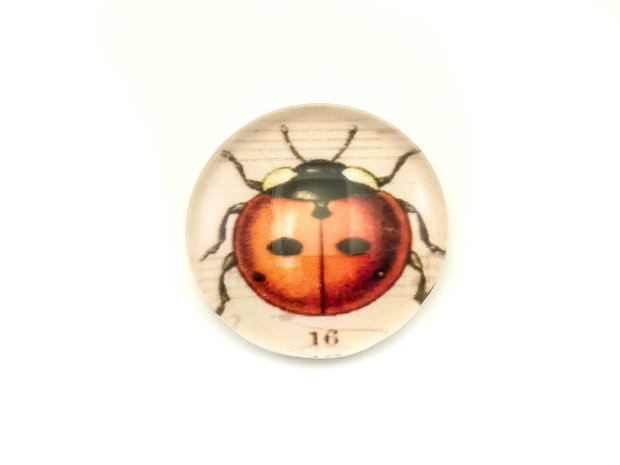 Cabochon sticla, 25 mm (cod 21-49)