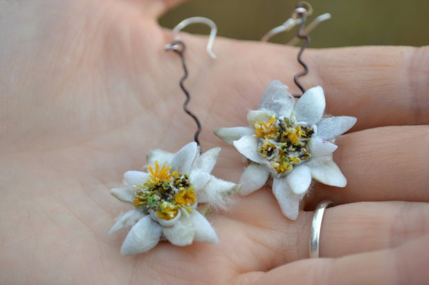 Cercelusi Flori de Colt.