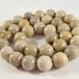 2978 - 2buc Coral fosilizat sfere 11-11.5mm