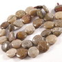 2982 - 2buc Coral fosilizat 12x5mm