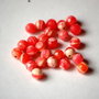 LPP616 - agate fatetate 6 mm
