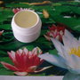 " VIVRE" LOTUS, MIMOZA SI ORHIDEE SALBATICA  - PARFUM  SOLID FLORAL