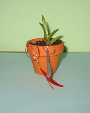 Marturie