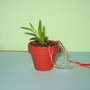 Marturie /Martisor