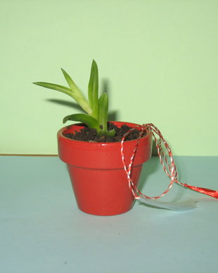 Marturie /Martisor