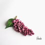 Crenguta de liliac