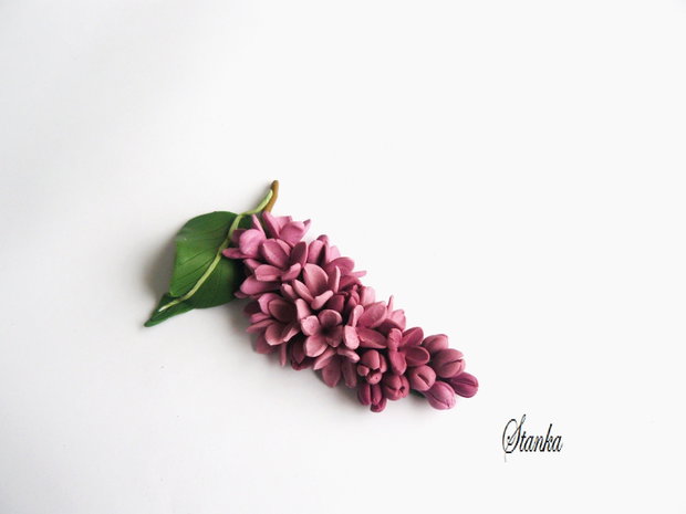 Crenguta de liliac