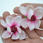 Magnolia de zapada - Cercei mari