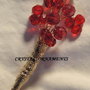 Martisor/Brosa/Marturie/Cocarde