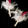 Martisor/Brosa/Marturie/Cocarde