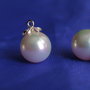 Perle seashell 12mm, semigaurite (1)