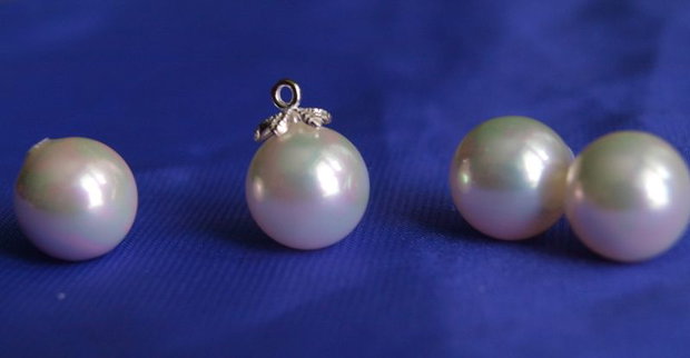 Perle seashell 12mm, semigaurite (1)