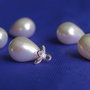 Perle seashell 10x13mm, semigaurite (1)