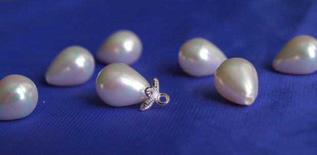 Perle seashell 10x13mm, semigaurite (1)
