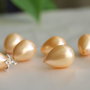 Perle seashell 10x13mm, semigaurite (1)