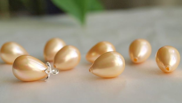 Perle seashell 10x13mm, semigaurite (1)