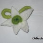 Floare Martisor - Raw beauty