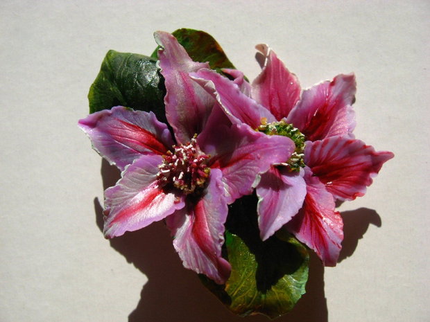 Clematis - Brosa mare - Martisor