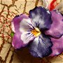 Panseluta Violet Inchis - Martisor - Brosa