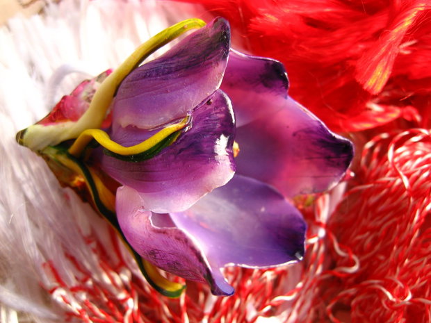 Crocus  Brosa