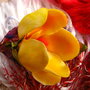 Crocus Galben - Martisor - Brosa
