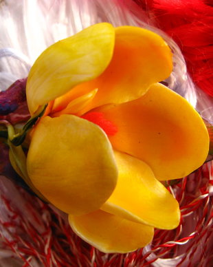 Crocus Galben - Martisor - Brosa