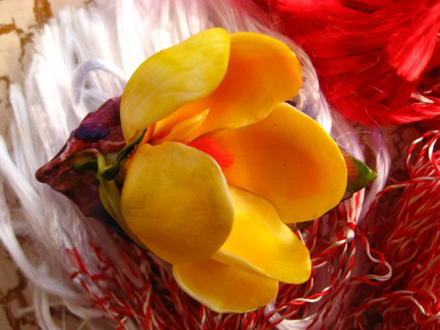Crocus Galben - Martisor - Brosa