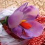 Brandusa Violet - Martisor - Brosa