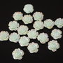 *** Cabochon rasina  ***