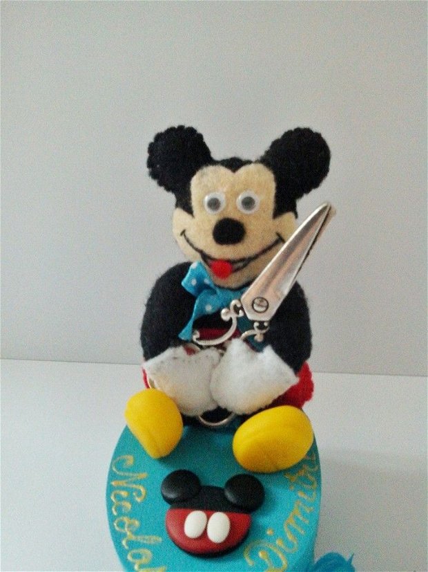 Mickey - cutiuta de mot