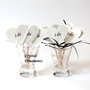 Decoratiuni briose/Candy bar