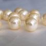 Perle seashell 12mm  (1)