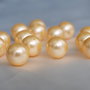 Perle seashell 10mm (1)