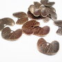1b charm finisaj bronz frunza de lotus 16x12mm (bz 52)